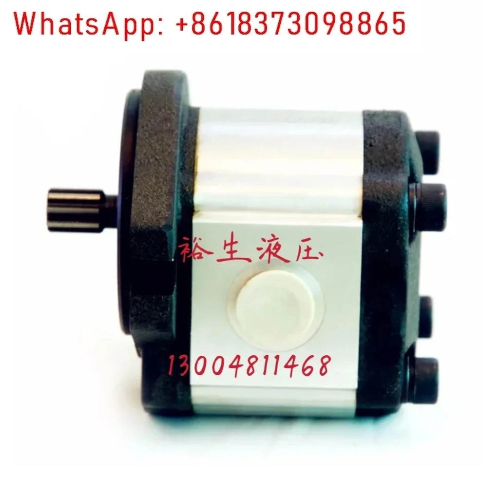 NOYETEK 유압 오일 펌프 1PHA138SC0A6L 기어