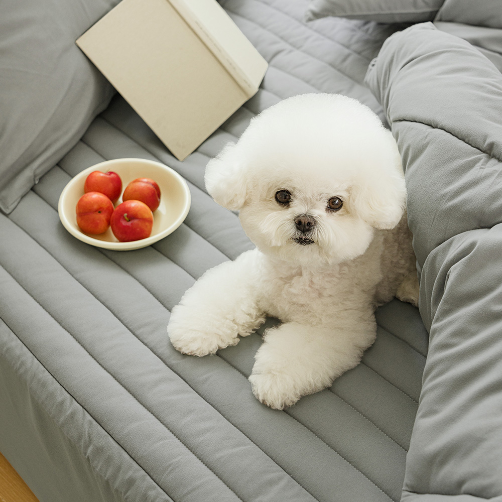 바자르 시리얼 먼지없는 봄 가을 사계절 차렵 이불 패드세트 SS