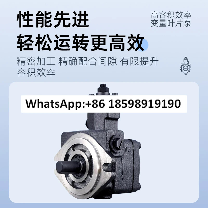 VB1 20F A3 오일 펌프 VE1 40F VD1 30F FA3 VA1 15F A2 베펌프