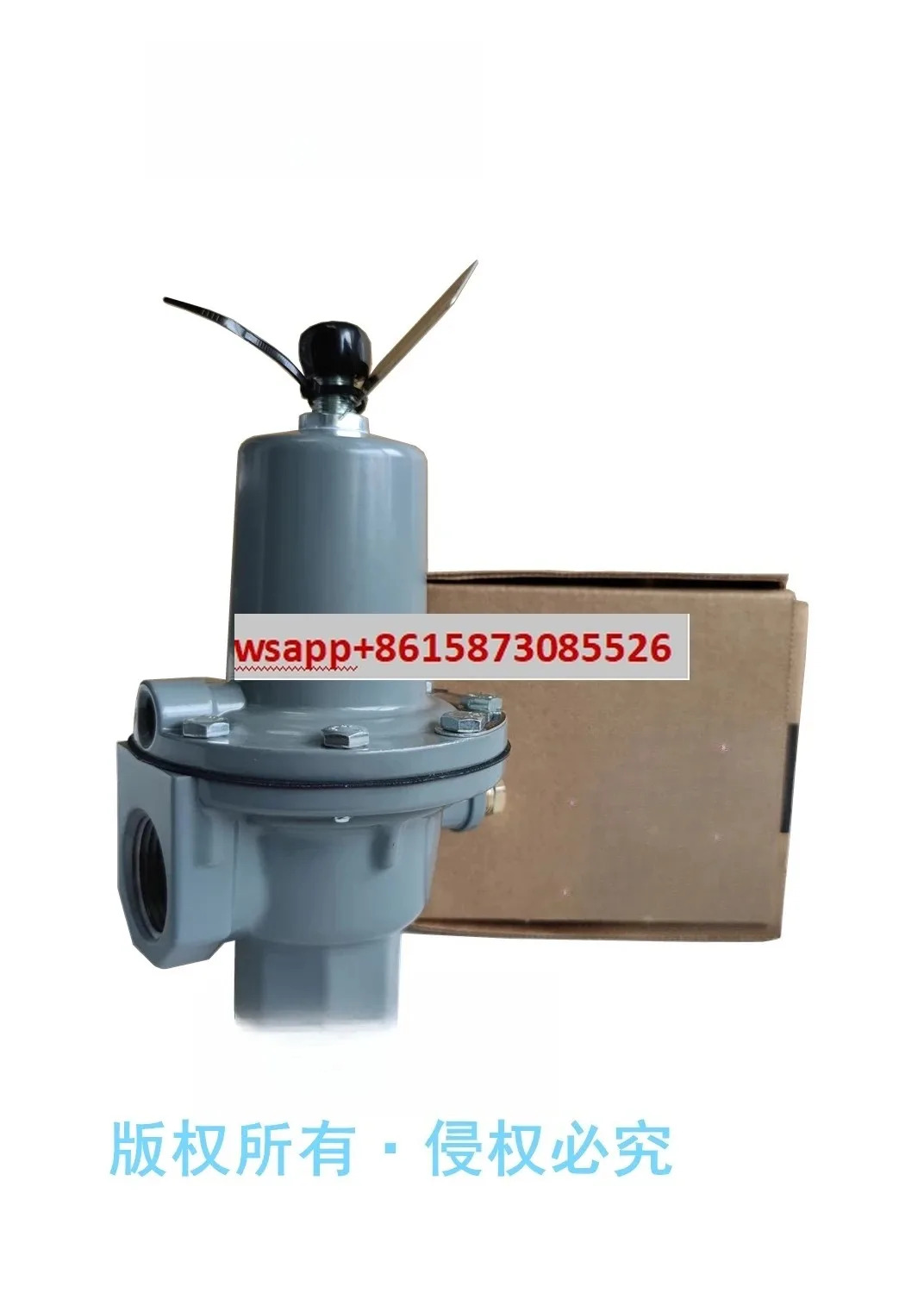 289H-42 과압 릴리프 밸브 289H DN25 1인치 NPT