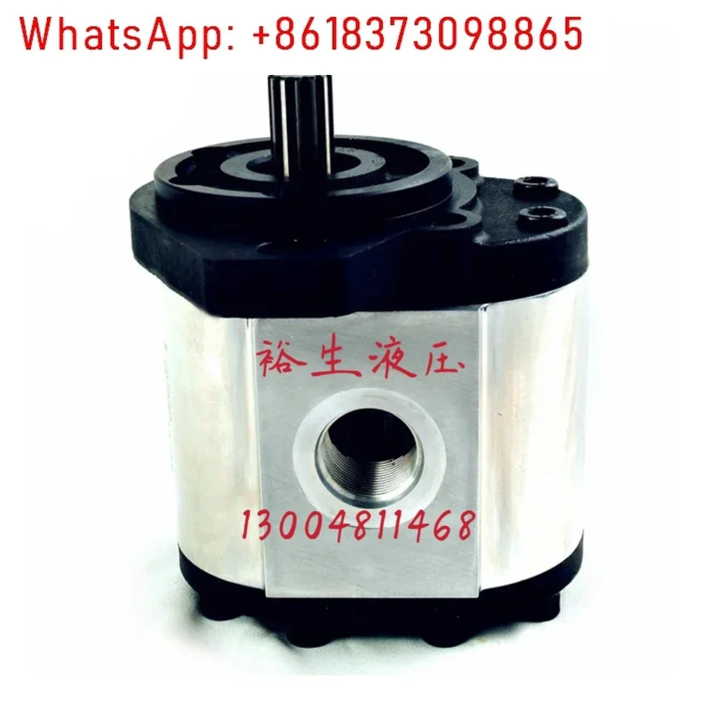 NOYETEK 유압 오일 펌프 1PHA138SC0A6L 기어