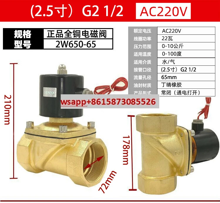 일반적으로 구리 대용량 솔레노이드 밸브 워터 220V2.5 인치 2W500-50 2W650-65 2W800-800
