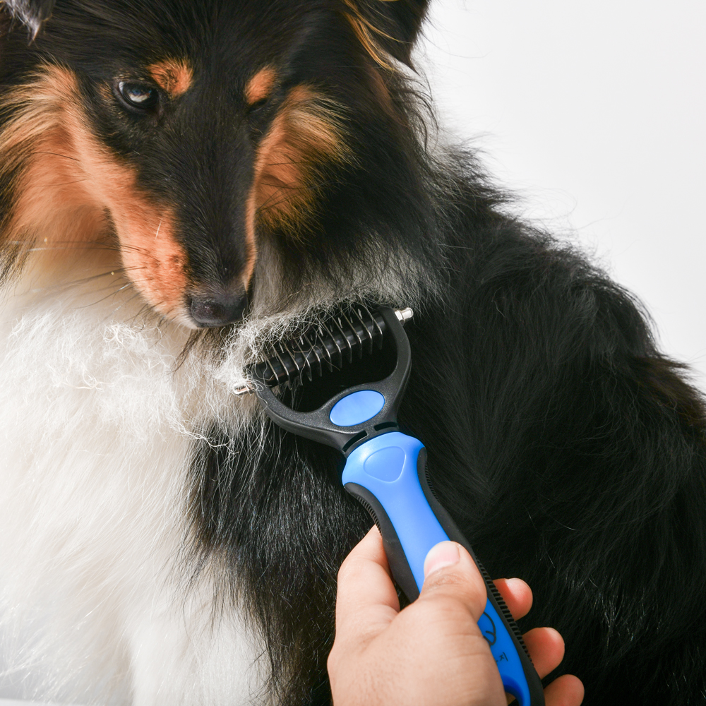 강아지 고양이 대형견 털 빗 죽은털 제거 털갈이 브러쉬 S 제품 이미지