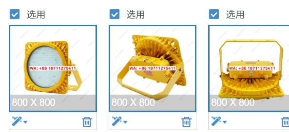 방폭형 고마스트 라이트 블랭크 키트 FGQ1245-200W-BFC8117 사가능