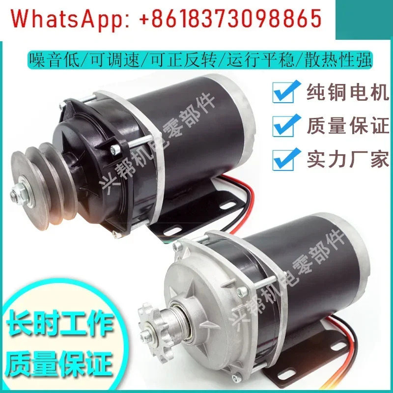 DC 브러시 공급 자동차 곡물 흡입 모터 12v24v48v800w 수정 드래곤 러닝머신