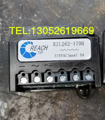 REACH 모터 브레이크 정류기 R204 RZL262-170H RZL261-170 G652 G883