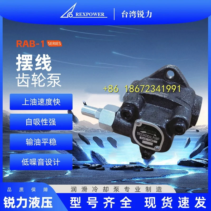 RAB-10A/11A/12A/13AY 대만 REXPOWER 샤프 사이클로이드 기어 펌프 가변 압력 삼각형