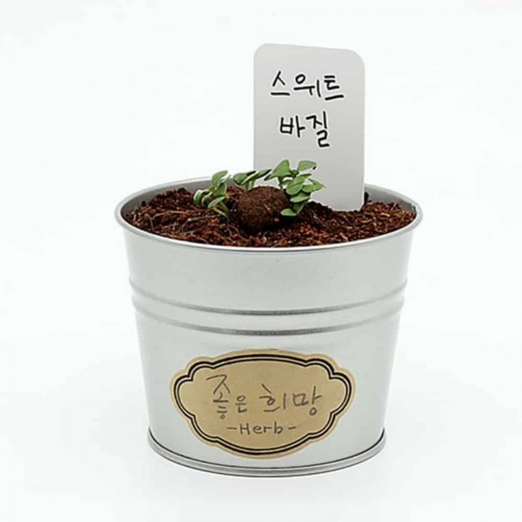 지니몰 봉선화씨앗 스위트바질 유아가드닝 꽃씨앗 그로우캔 - 상품 이미지