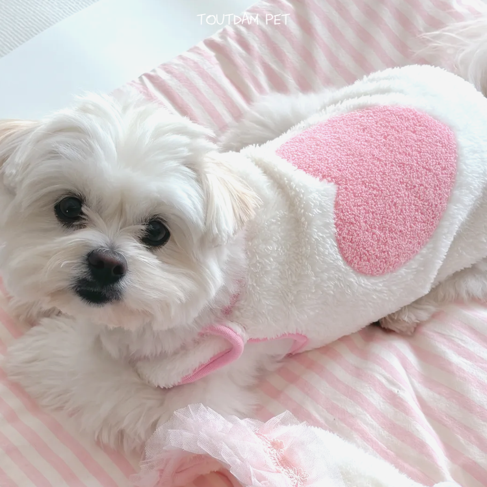 뚜담펫 강아지 후리스 수면조끼 고양이 뽀글이 겨울조끼 히트텍 - 상세 이미지 5
