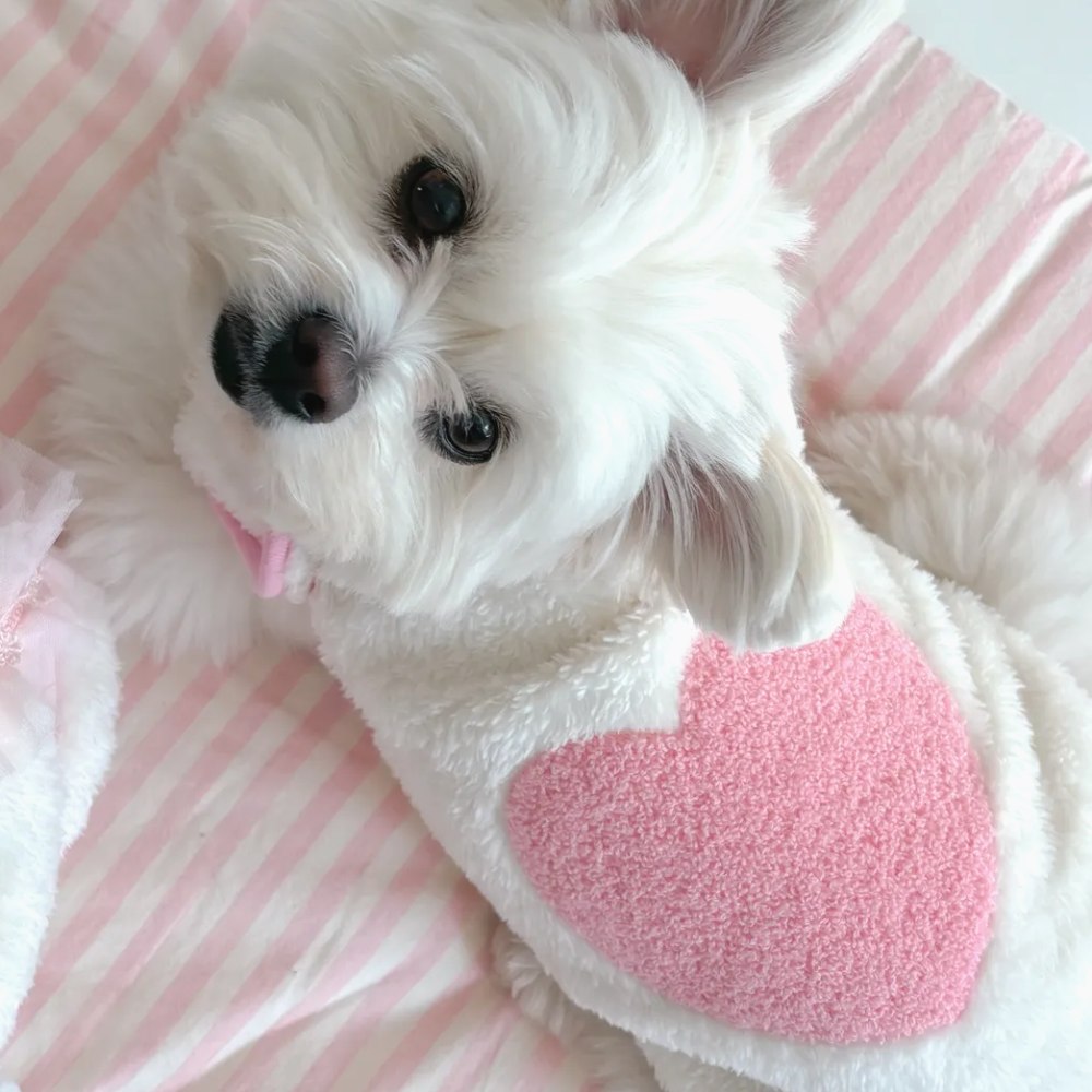 뚜담펫 강아지 후리스 수면조끼 고양이 뽀글이 겨울조끼 히트텍 - 상품 이미지