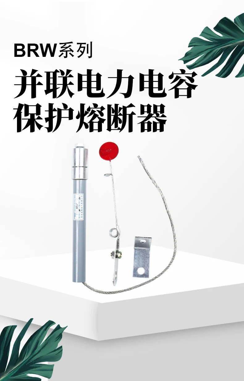 밍가오 병렬 전력 커패시터 보호 퓨즈 BR2/BRN/BRW-10 12 KV