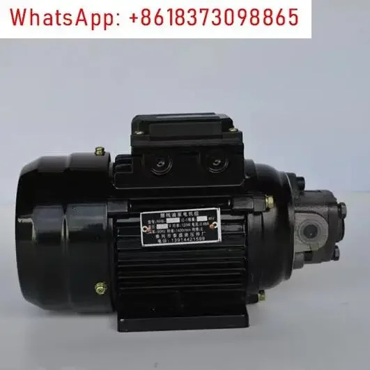 유압 매칭 RHB-1JZ-1 사이클로이드 기어 오일 펌프 모터 유닛 120W 순수 구리 와이어 RHB-1JZ