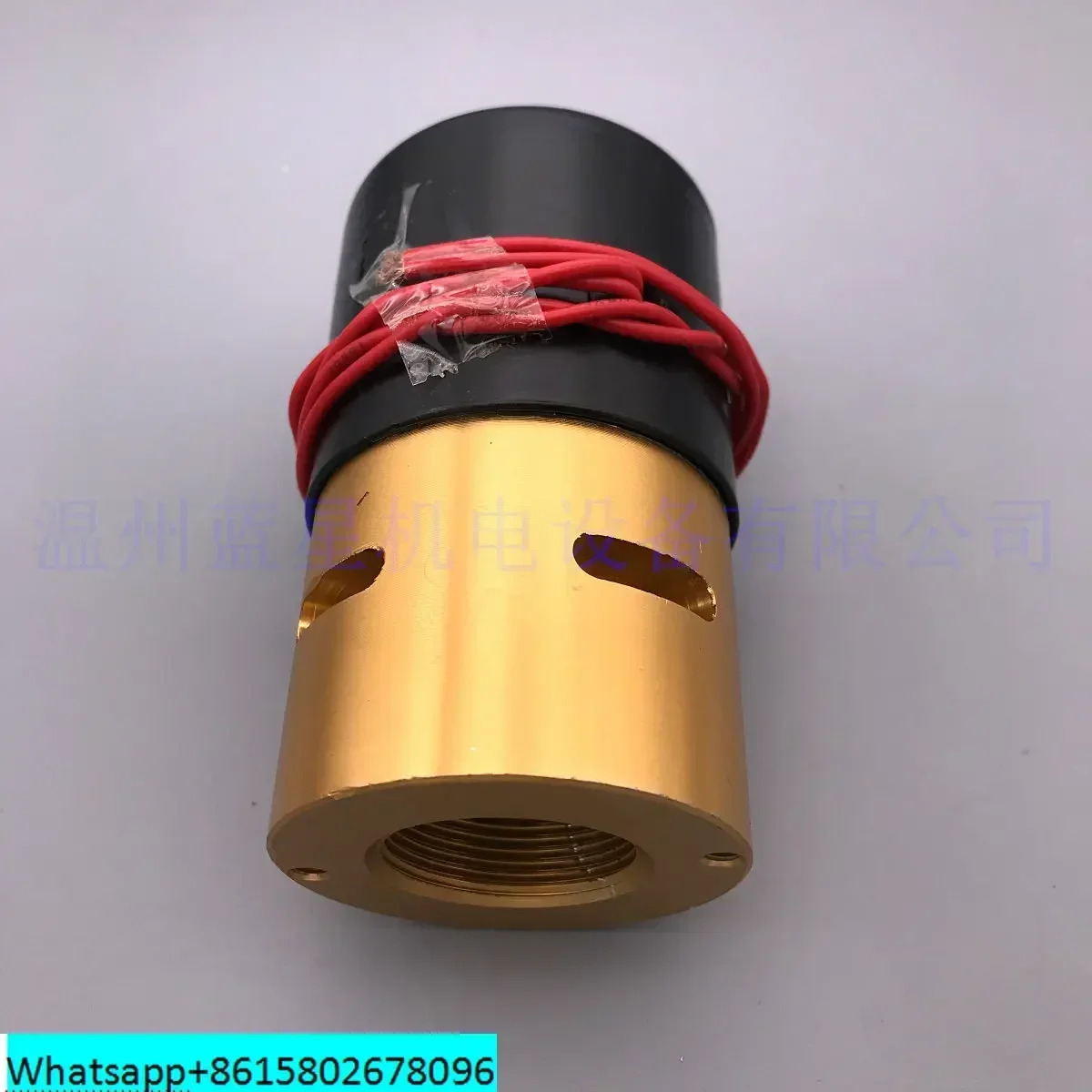WT-PNEUMATIC 해변 공장 진공 솔레노이드 밸브 벤트 포장기 20 2X2