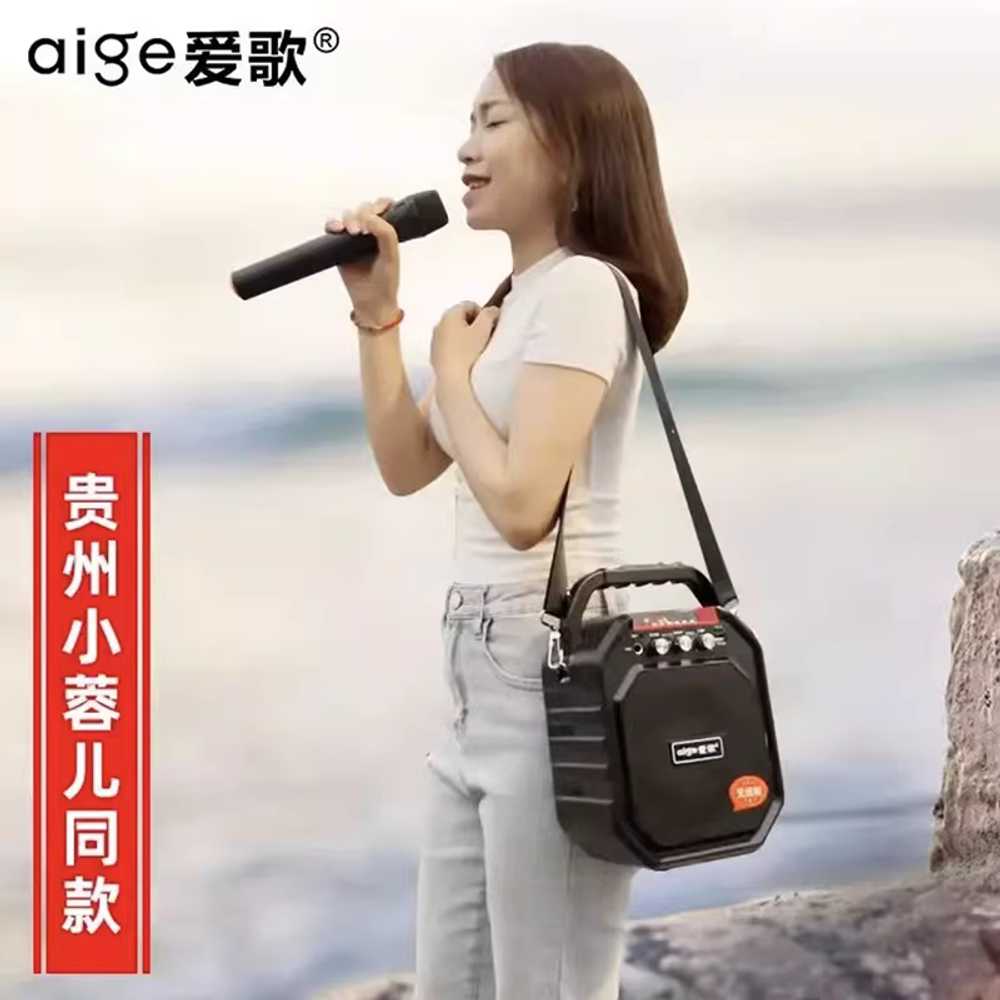 블루투스 노래방기계 기기 홈 미니 마이크 캠핑 세트 기본형 4000mAh 배터리 이미지 6