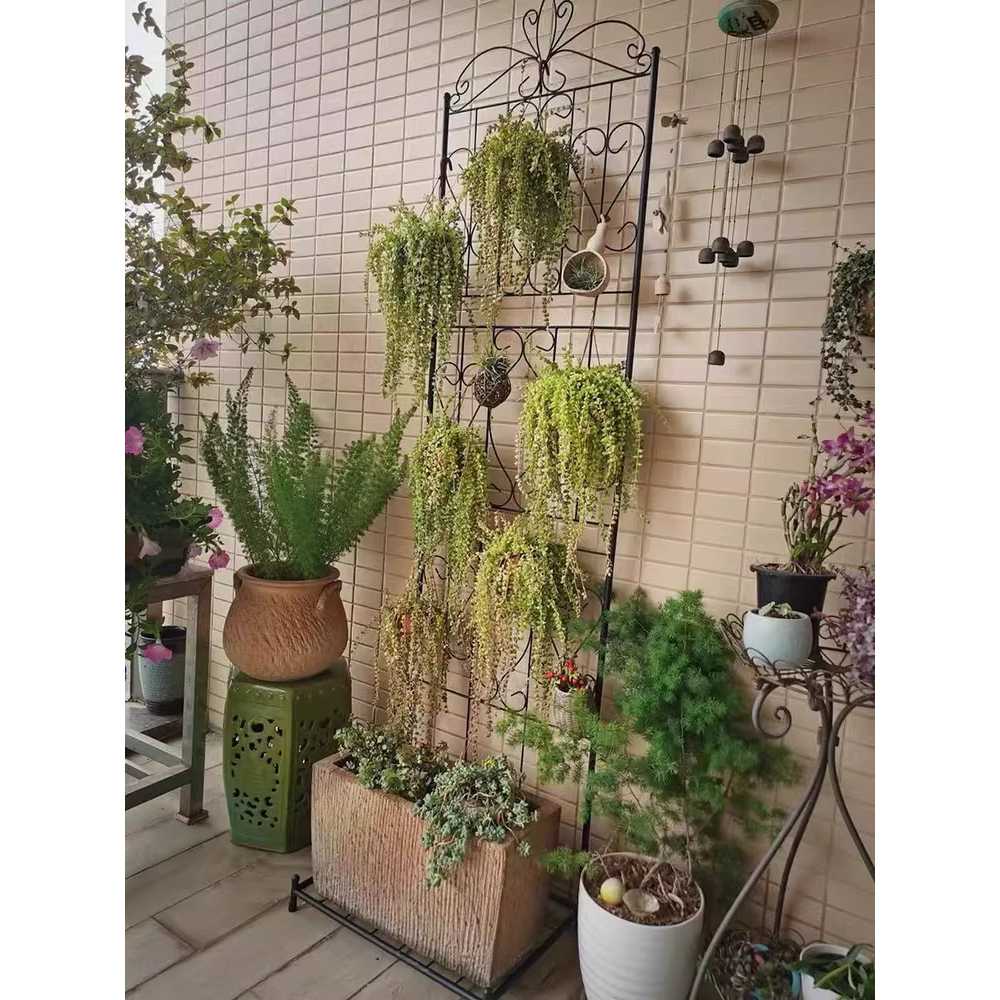 장미 넝쿨 지지대 지주대 식물 선반 야외인테리어 랙 C타입 와이드 블랙 대형 - 상세 이미지 2