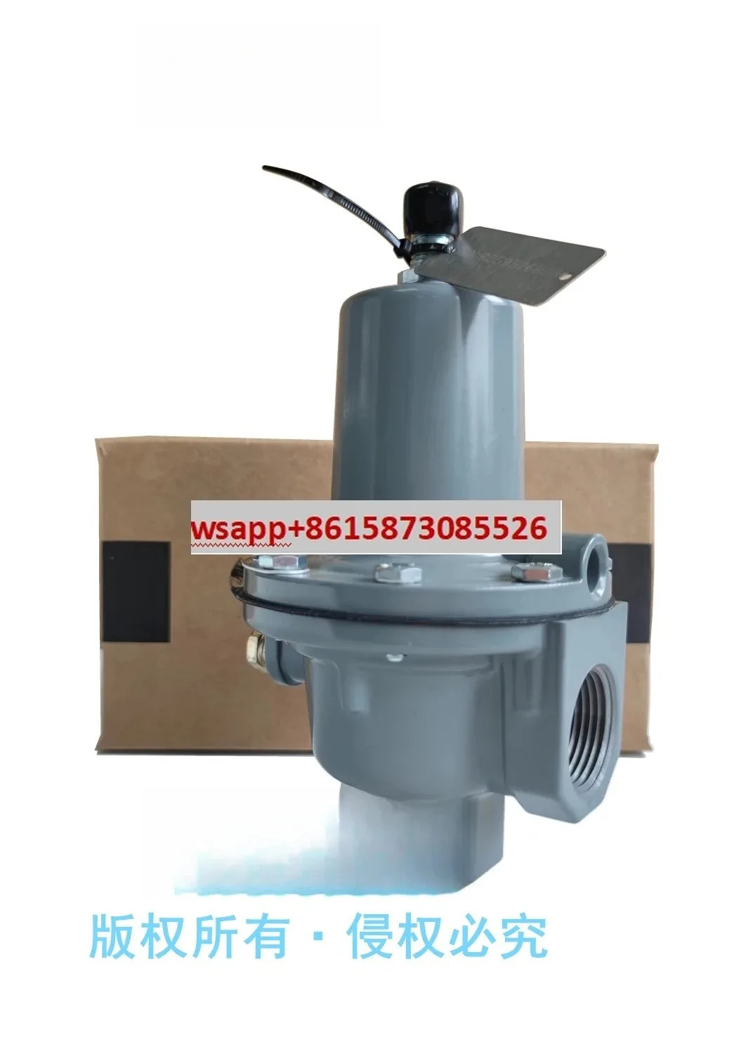 289H-42 과압 릴리프 밸브 289H DN25 1인치 NPT