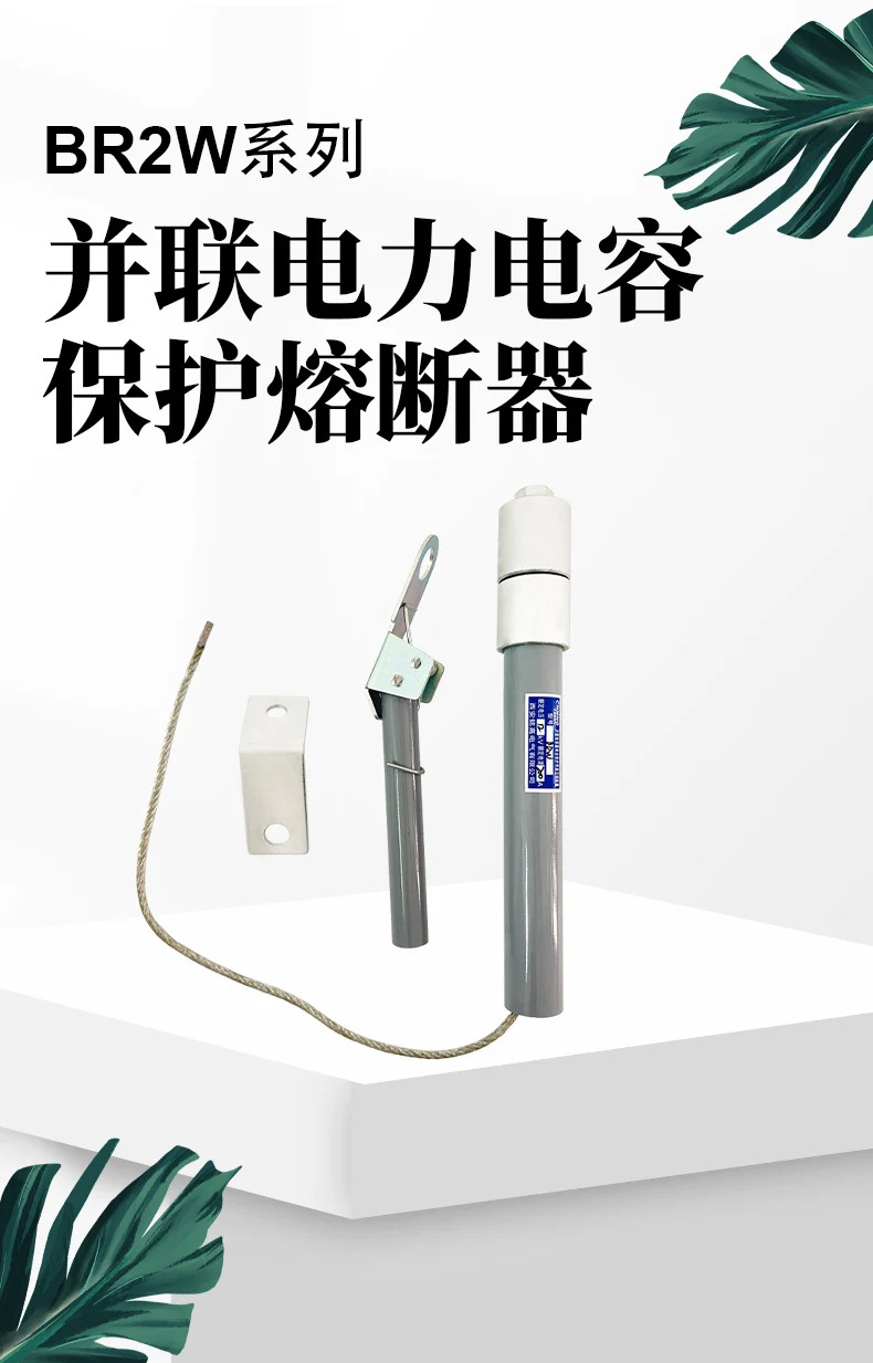 밍가오 션트 파워 커패시터 보호 퓨즈 BR2/BRN/BRW-10 12 KV