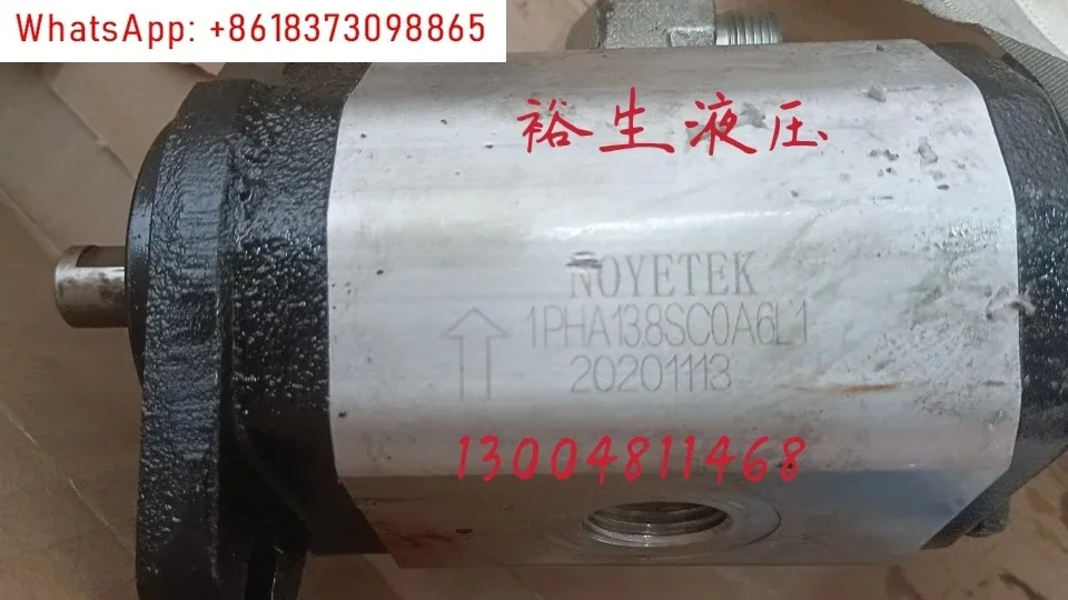 NOYETEK 유압 오일 펌프 1PHA138SC0A6L 기어