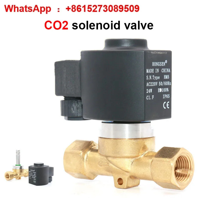 1/2 고주파 CO2 솔레노이드 밸브 DN15 황동 단방향 제어 스위치 워터 AC220V