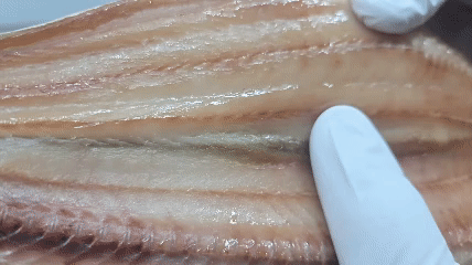 별빛수산 반건조생선 고등어 임연수 볼락 열기 이면수 에어프라이어 생선구이 세척없이 개별포장 이미지 7