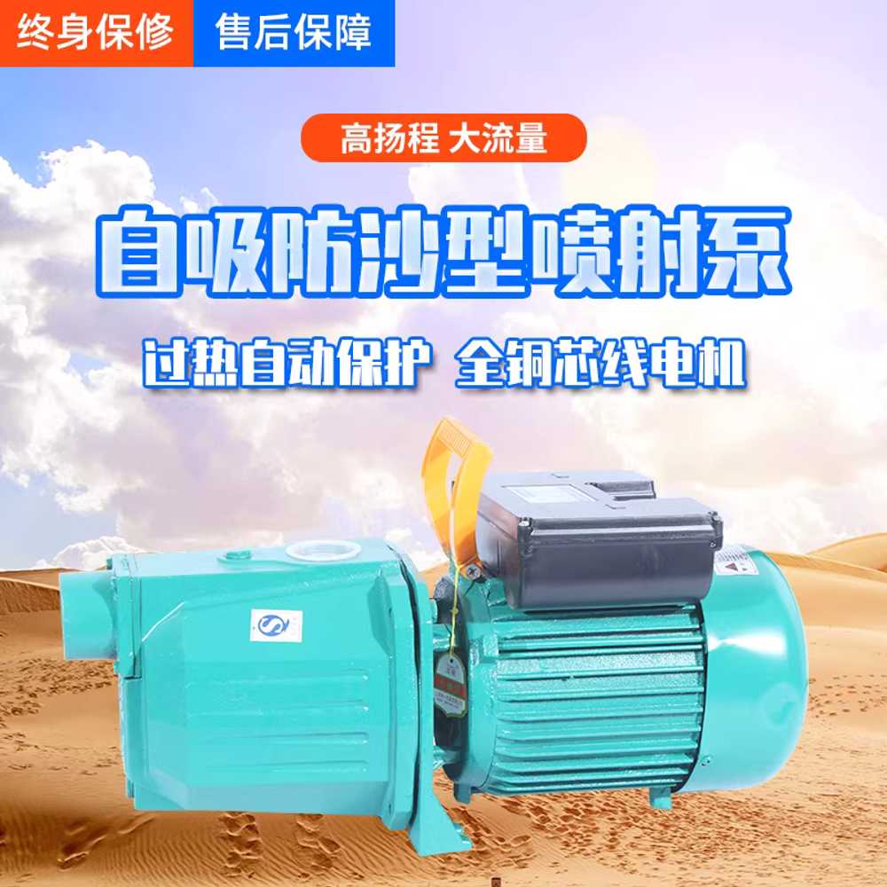 지하수 모터 220v 프라이밍 스크류형 퍼내기 단상 1100W 수동형 - 상세 이미지 4