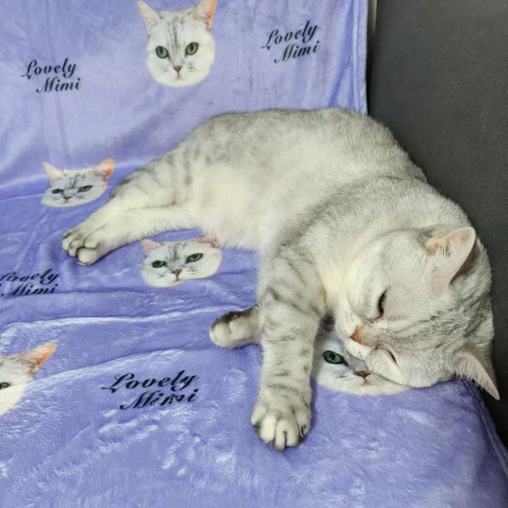 맞춤형 반려동물 담요 제작 강아지 고양이 사진 커스텀 굿즈 무릎 무릎담요 - 상세 이미지 3