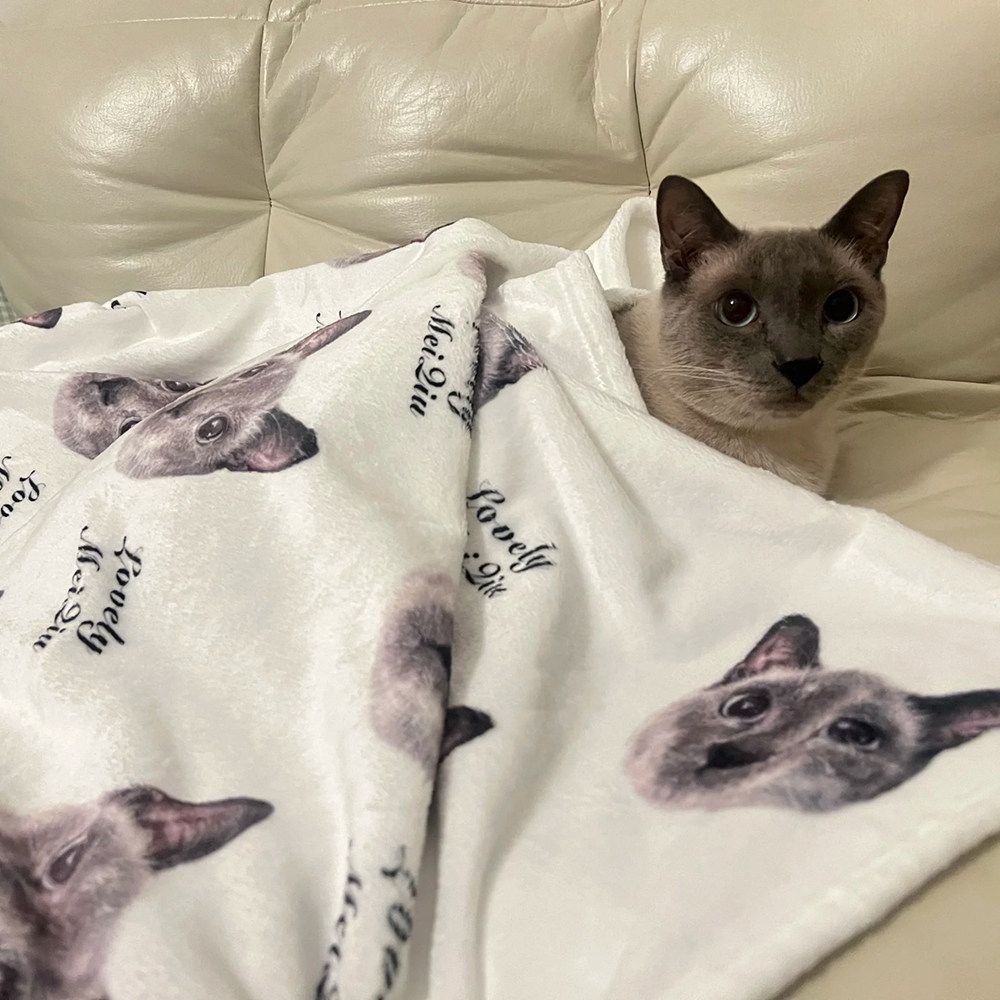 맞춤형 반려동물 담요 제작 강아지 고양이 사진 커스텀 굿즈 무릎 무릎담요 - 상세 이미지 4