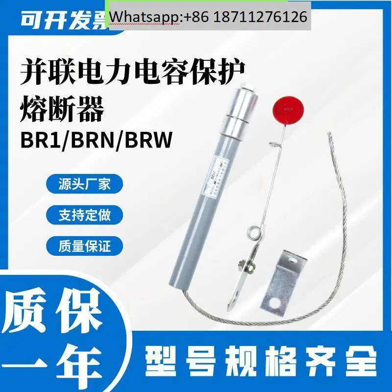 밍가오 병렬 전력 커패시터 보호 퓨즈 BR2/BRN/BRW-10 12 KV