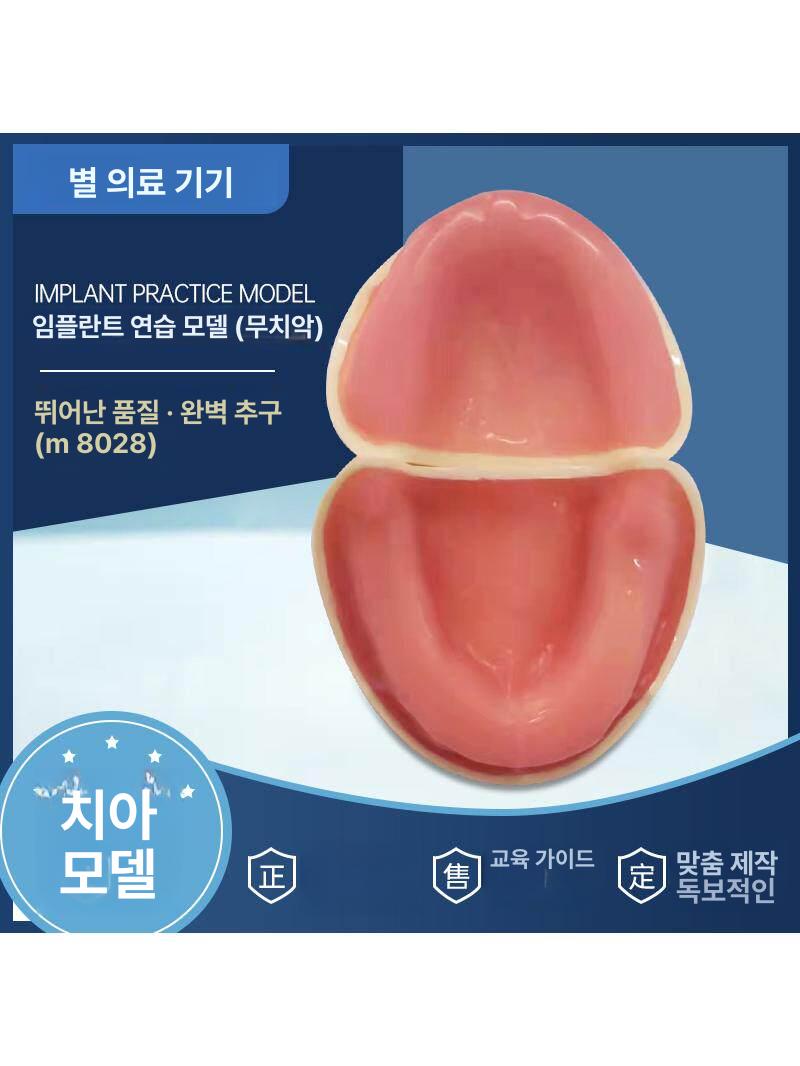 치아모형 구강구조 치과 의사 수지 무치악 임플란트 모델 무턱 수지 치아 모형 - 상세 이미지 2