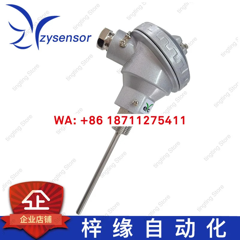 EYC 온도 센서 R1 PT1-B-1-KN-1/2-6.3-100-304TP01-11-50-50도