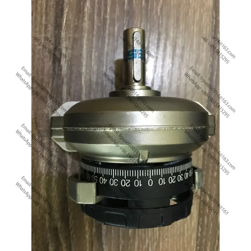 DSR-25-180-P 11911 독일 Festo 진동 실린더 스윙