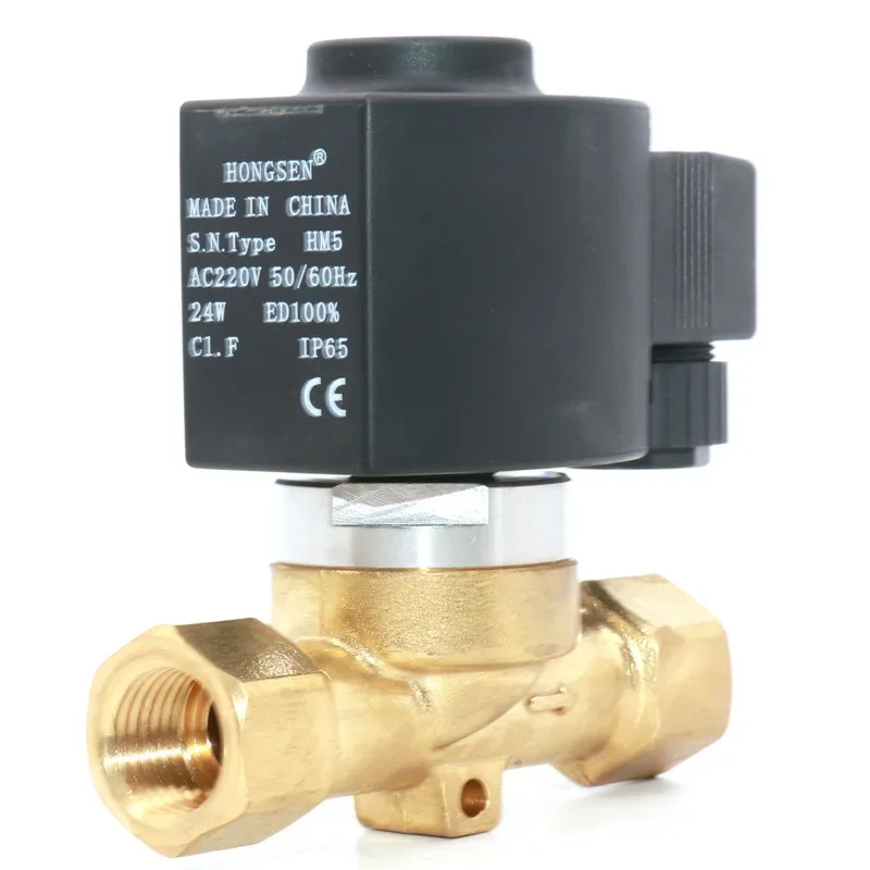 1/2 고주파 CO2 솔레노이드 밸브 DN15 황동 단방향 제어 스위치 워터 AC220V