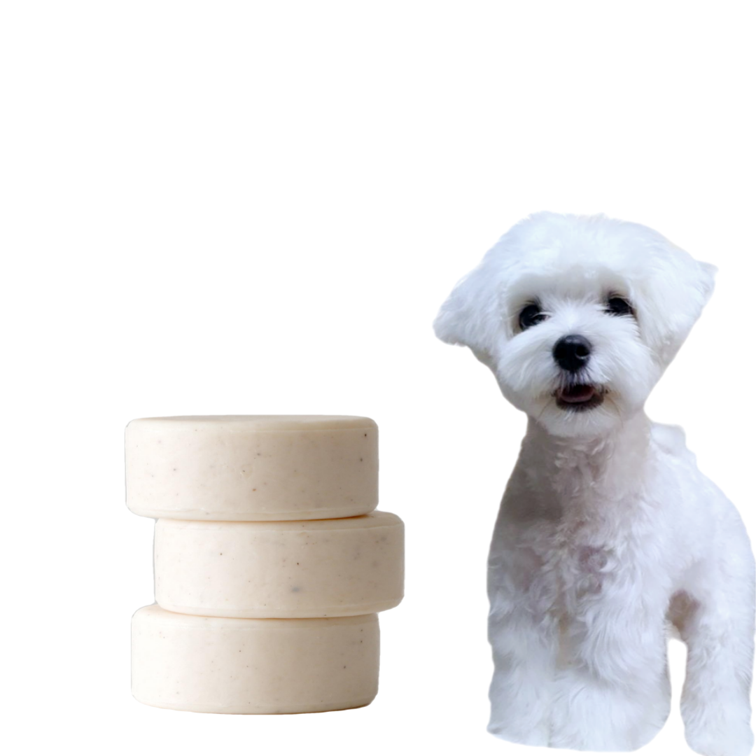 펫츠랑 강아지 고양이 민감성 효소 샴푸바 발 피부 얼굴 관리 세정제 100g, 1개 이미지 6