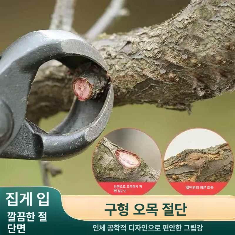 분재 가위 가지치기 도구 나무 뿌리 전정 핀셋형 분재용 볼 조인트 가위 - 상세 이미지 2