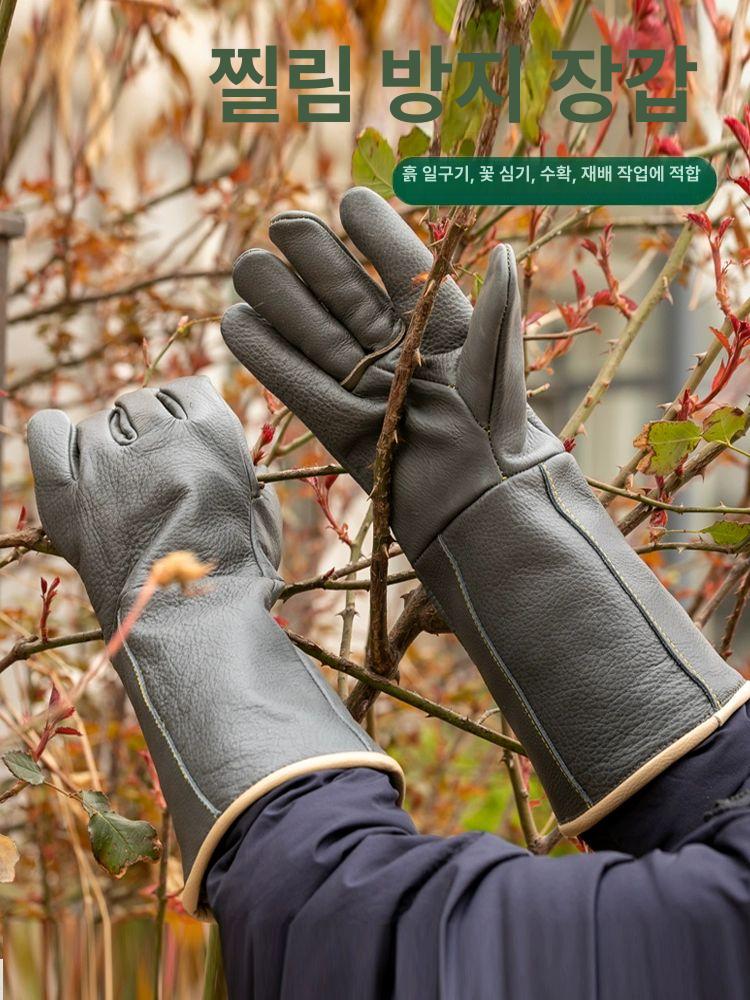 가시장갑 엄나무 밤줍기 원예 찔림방지 작업용 - 상세 이미지 3