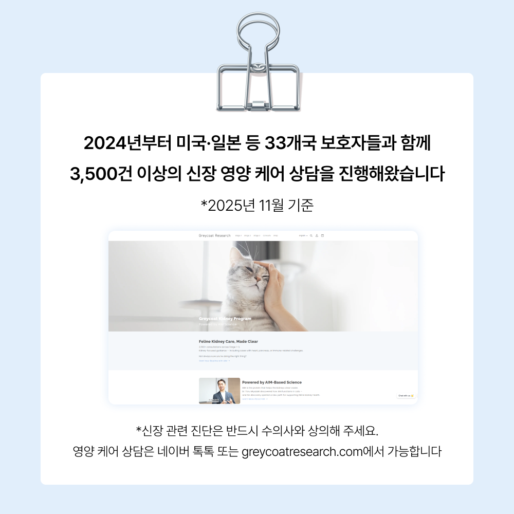 야옹섬 고양이 영양제 AIM 신장 집중 케어 세트 상황별 신부전 관리 이미지 3