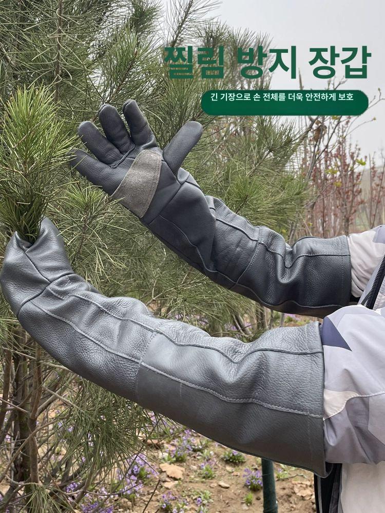 가시장갑 엄나무 밤줍기 원예 찔림방지 작업용 - 상세 이미지 4