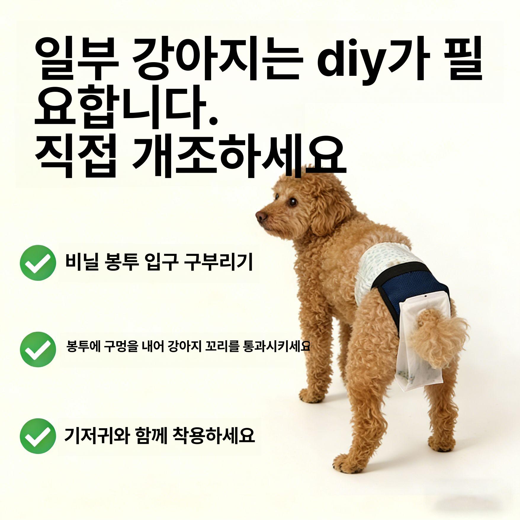 몬트리 외출 애견 똥 기저귀 산책 노견 팬티 중 강아지 S 2.5-7.5kg 중간 - 상세 이미지 5