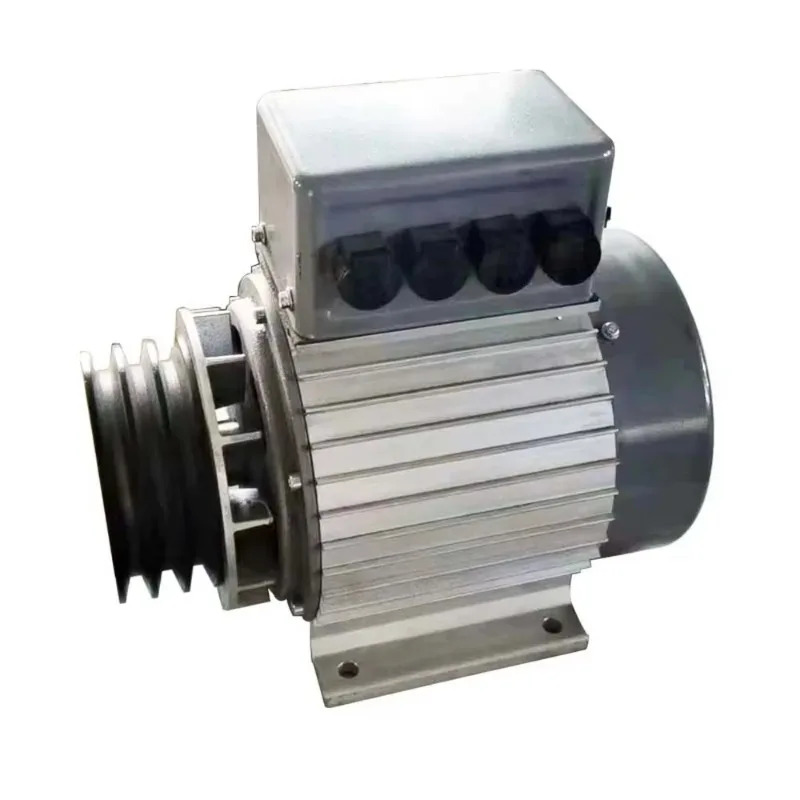 저비마이크로 영구 자석 발전기 출력 10KW 전류 14.5A 주파수/속도 50Hz/1500 Rpm