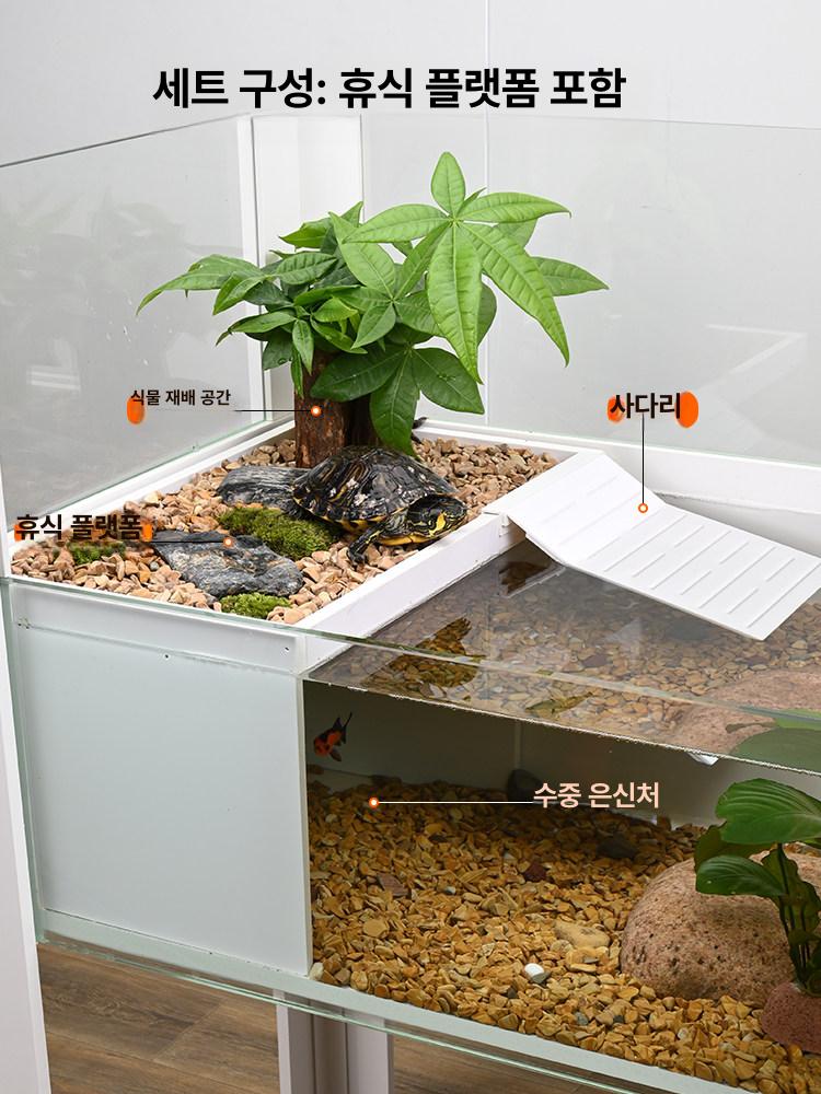 거북이어항 대형 반수생 물고기 수조 연못 생태 파충류 100cm - 상세 이미지 2