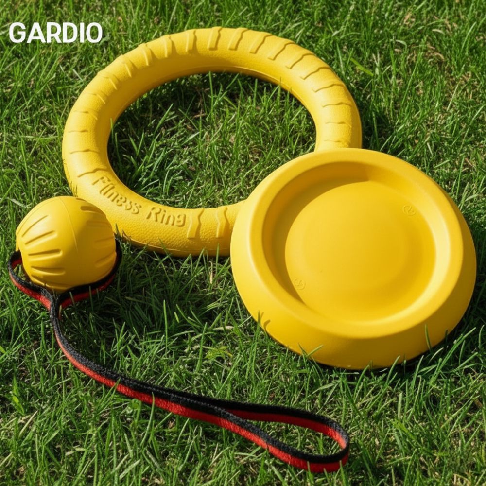 가디오 대형견 장난감 터그놀이 강아지 장난감 공 3종 세트 이미지 1