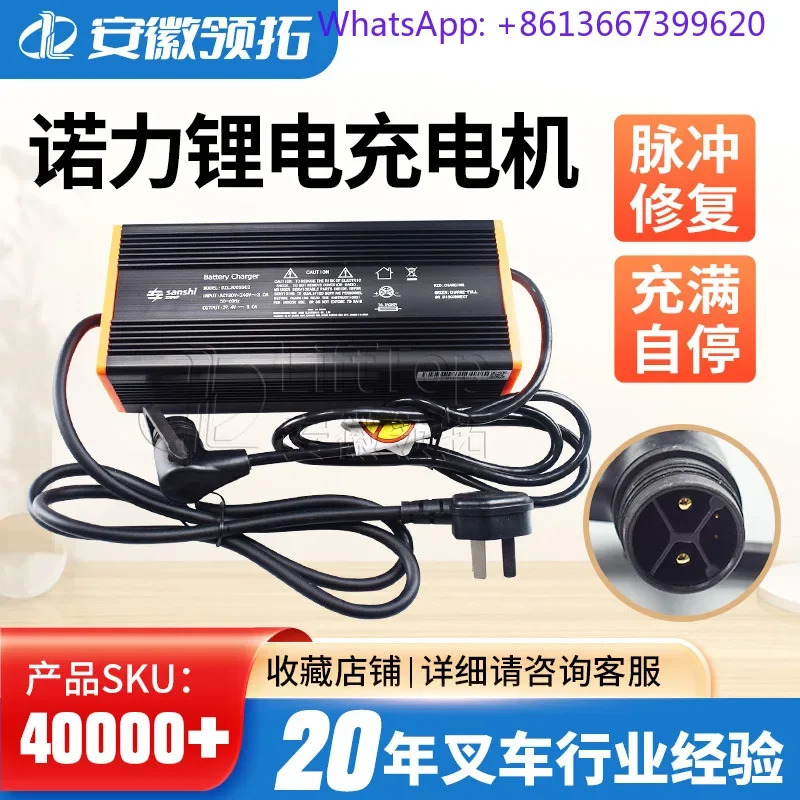 전동 액세서리 충전기 Tiangang 20 배터리 54.6V/9A DZL500SS02