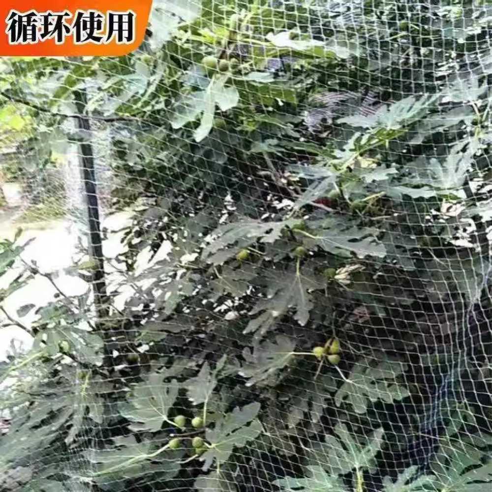 새그물망 퇴치망 새망방조망 노루망 수망 과수원 해충 나일론 2.0mm 메쉬 40m 폭 2m - 상세 이미지 4