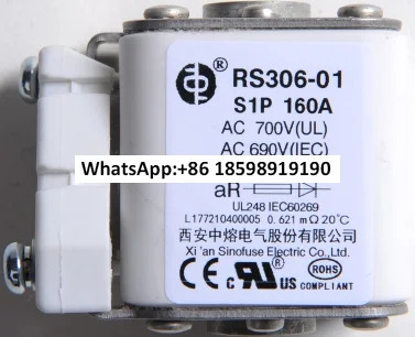 시안 중론 RS306 01 S1P 200A 250A 350A 400A 500A 690V 700V