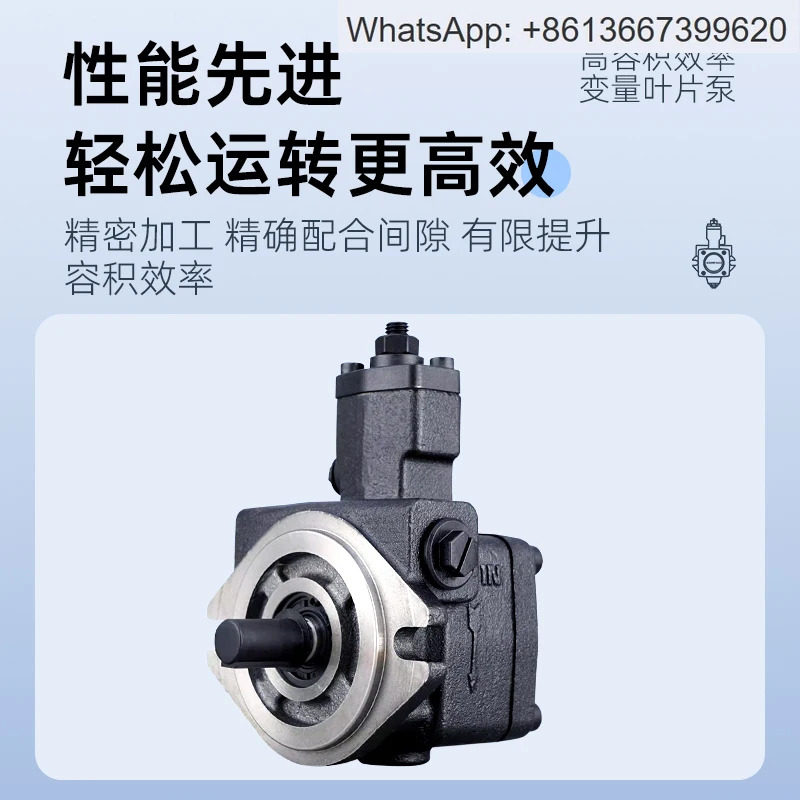 VB1-20F-A3 오일 펌프 VE1-40F-A3/VD1-30F-FA3/VA1-15F-A2 베펌프