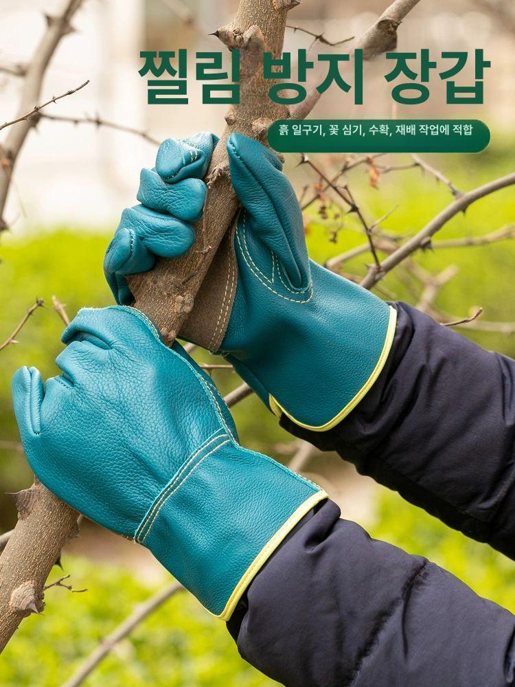 가시장갑 엄나무 밤줍기 원예 찔림방지 작업용 - 상세 이미지 2