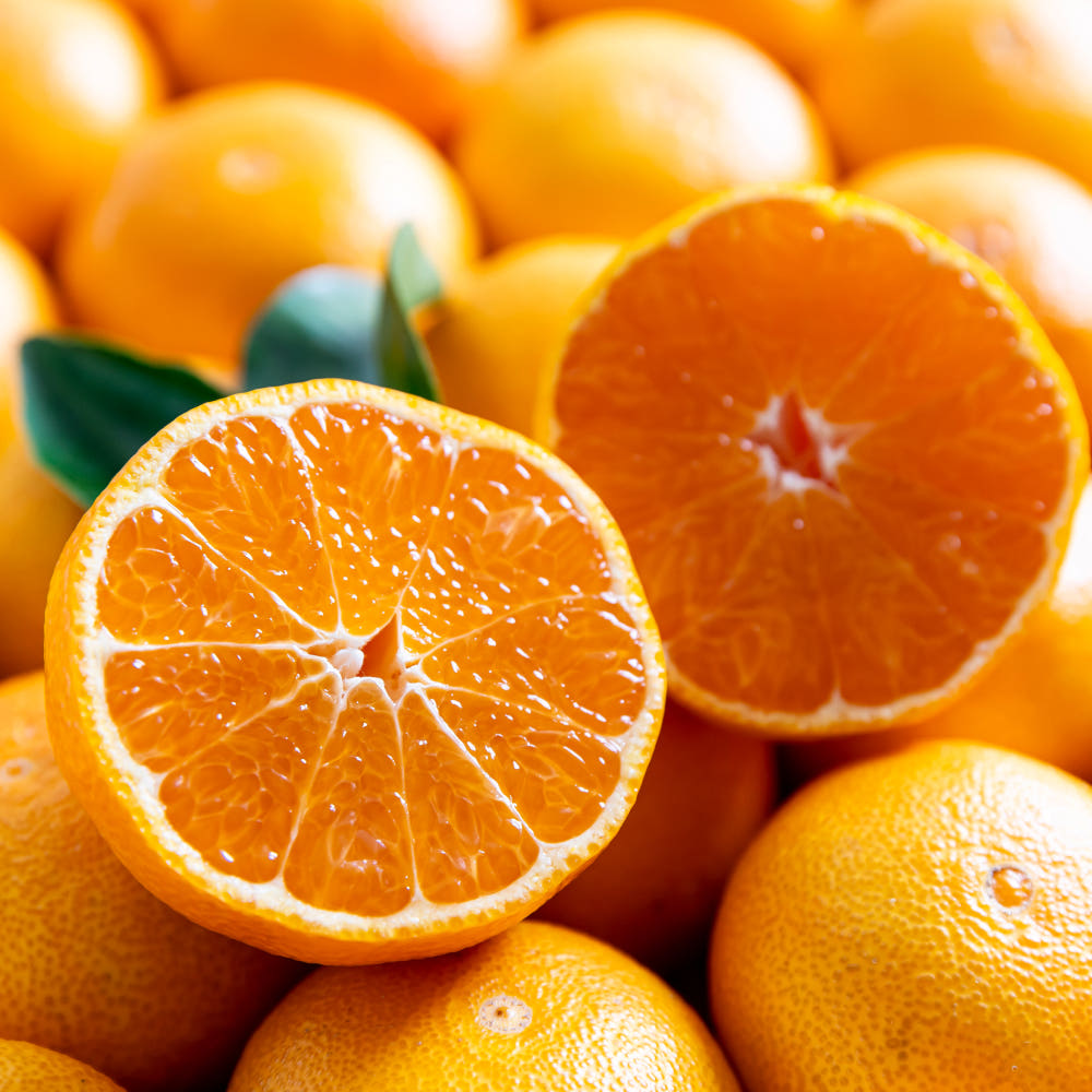 만다린 귤 2kg 미국산