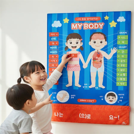 어린이 인체 구조 교육 나의 몸 배우기 홈스쿨링교구 유치원교구