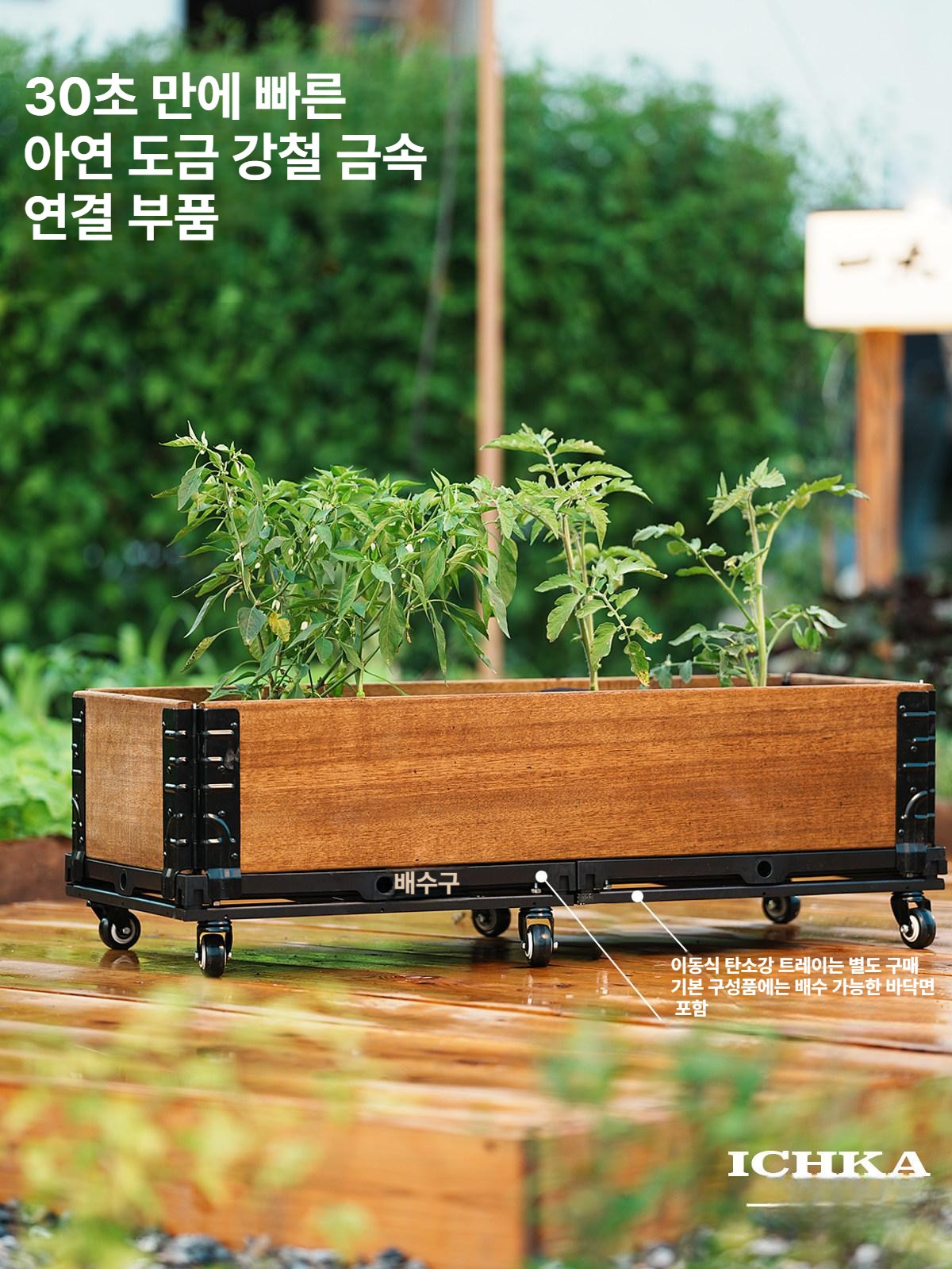 꽃화분 홈가드닝 채소밭 탄소강 나무 화단 원본 꽃 정원 야채 - 상세 이미지 4