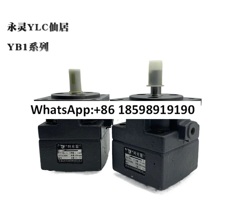 오리지널 YB1 25 6 312 5 16 20 32 63 80 100 125 베펌프